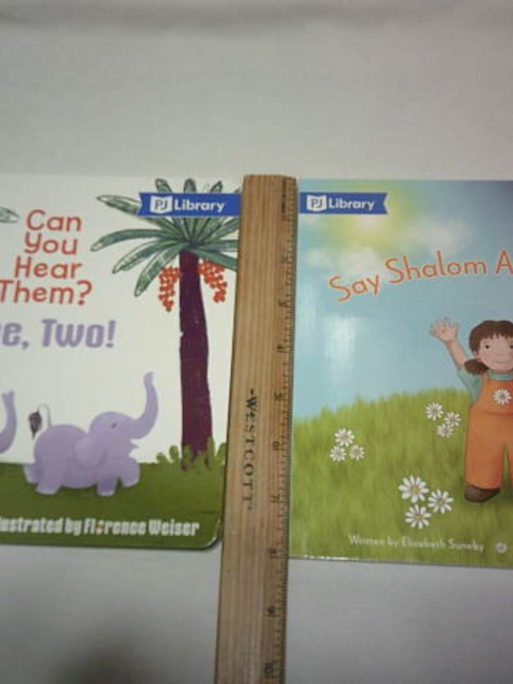 2 NEW KIDS BOARD BOOKS SAY SHALOM ALL DAY LONG & CAN YOU HEAR THEM? JEWISH 📘